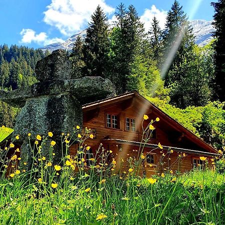 Alpenlodge Willigen Экстерьер фото