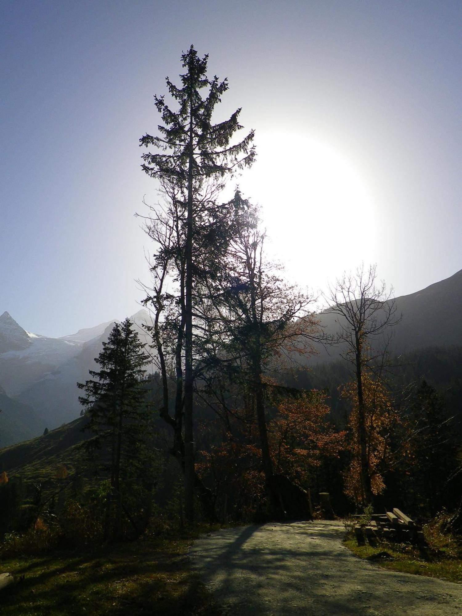 Alpenlodge Willigen Экстерьер фото