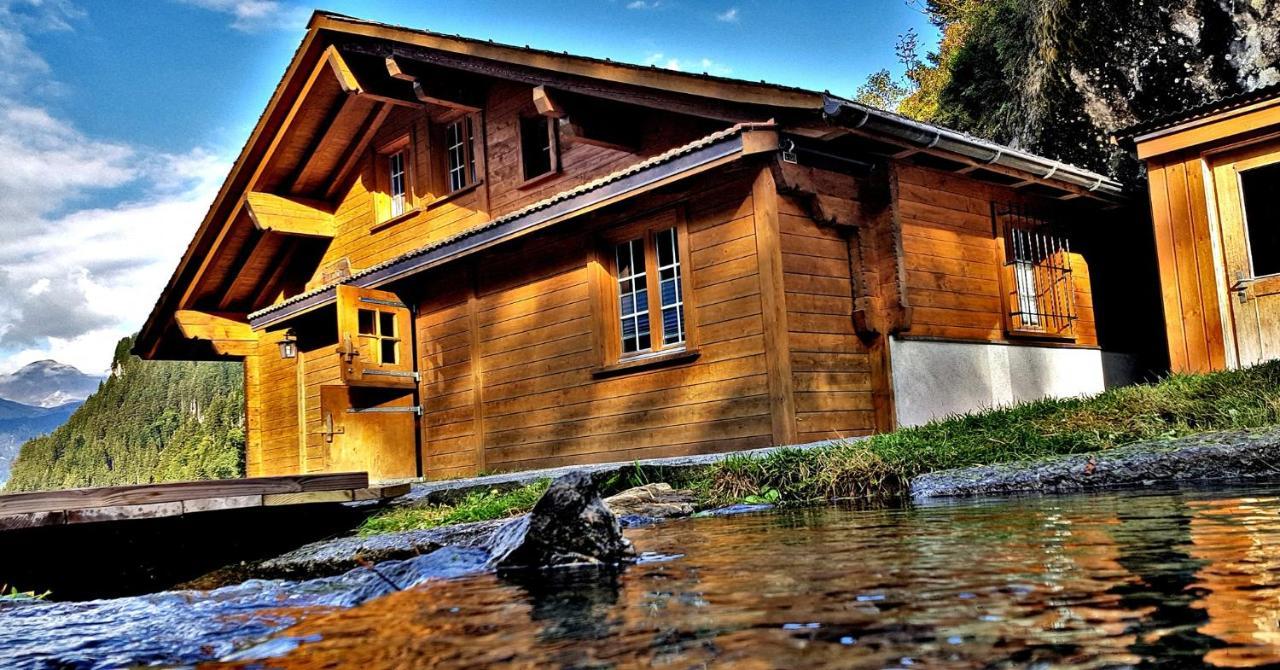 Alpenlodge Willigen Экстерьер фото