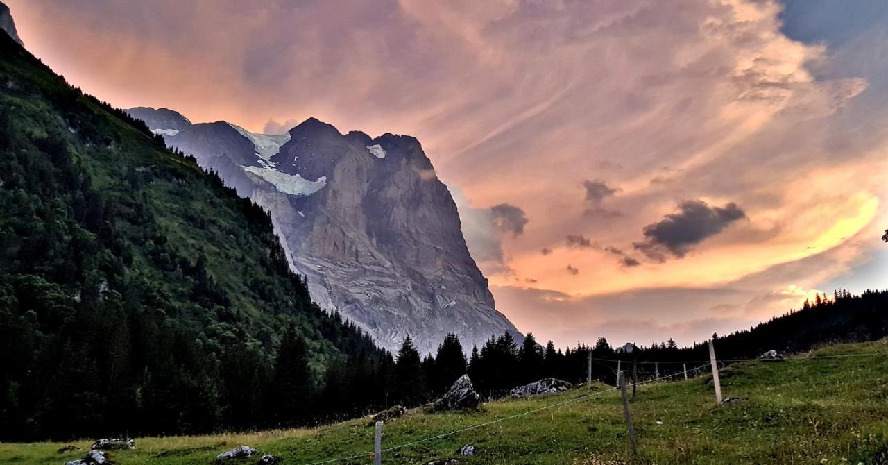 Alpenlodge Willigen Экстерьер фото