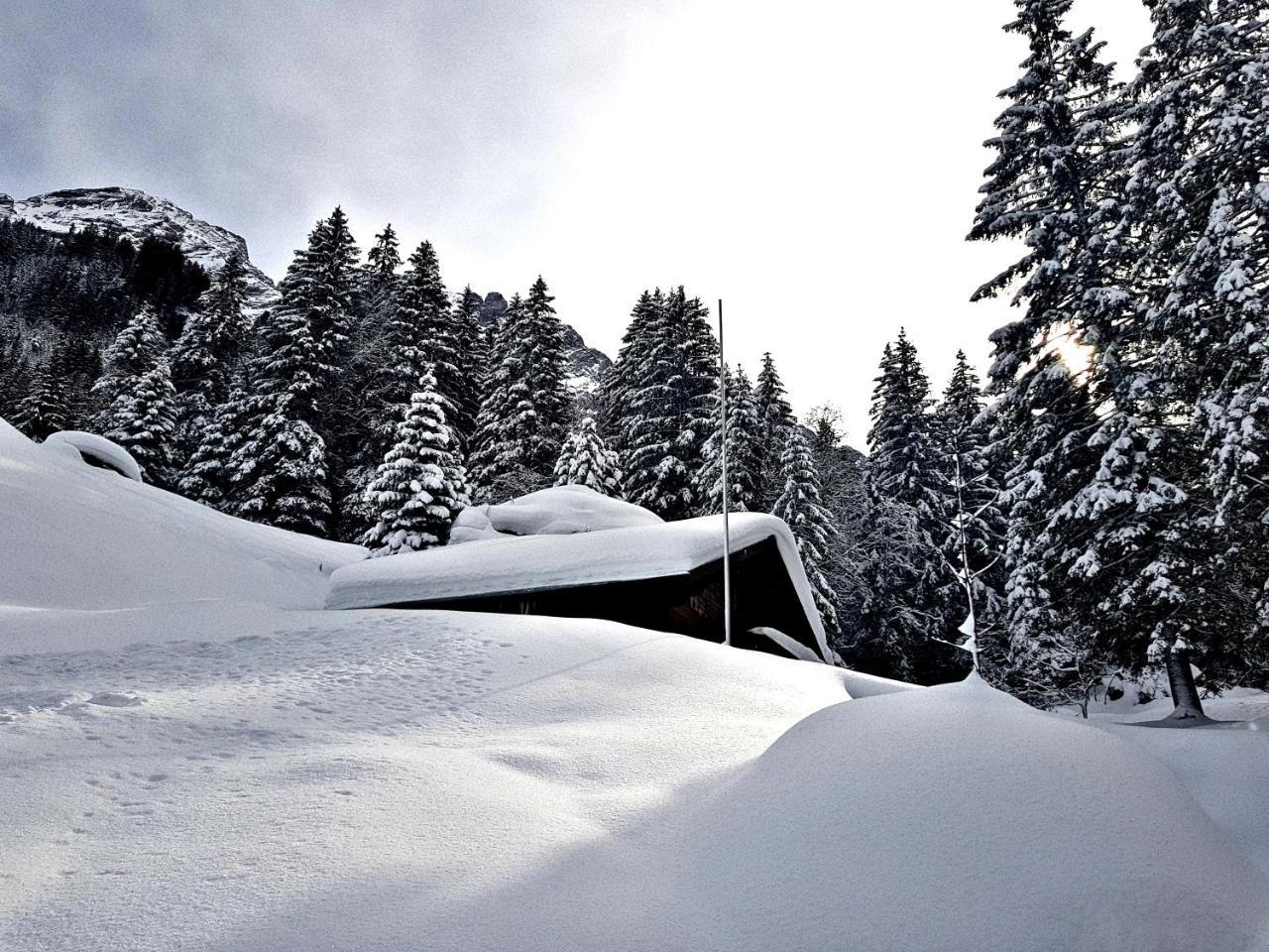 Alpenlodge Willigen Экстерьер фото