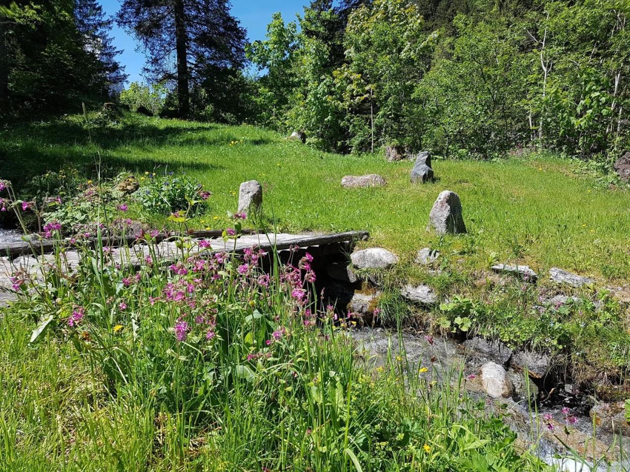 Alpenlodge Willigen Экстерьер фото