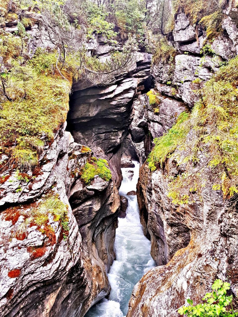 Alpenlodge Willigen Экстерьер фото