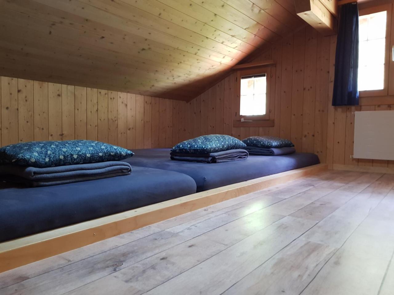 Alpenlodge Willigen Экстерьер фото