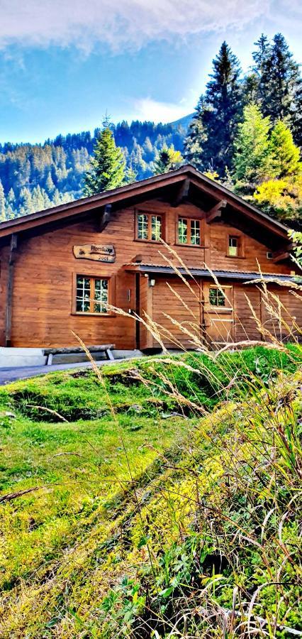 Alpenlodge Willigen Экстерьер фото