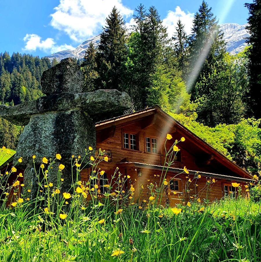 Alpenlodge Willigen Экстерьер фото