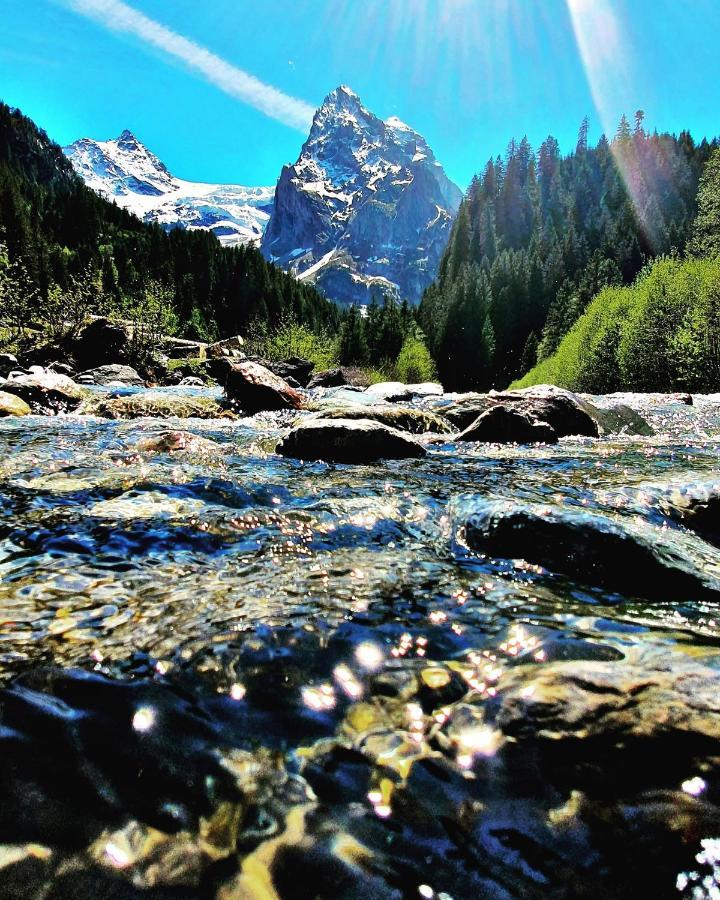 Alpenlodge Willigen Экстерьер фото